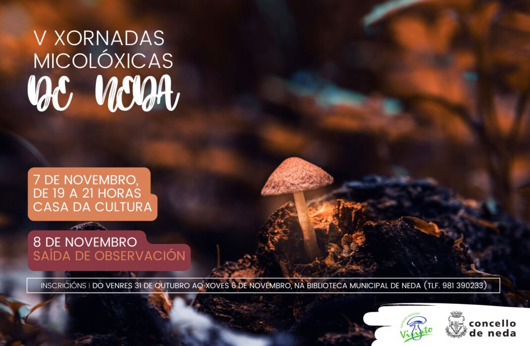 cartel Xornadas micolóxicas horizontal