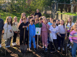 A Asociación de Concellos do Camiño da Ría de Muros Noia pon en marcha un proxecto para plantar maceiras nas beiras desta ruta xacobea