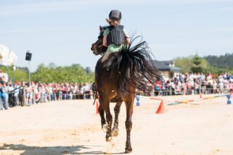 10042026 Feira cabalar