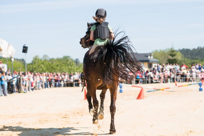 10042026 Feira cabalar