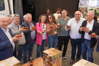 180426 Festa do Vino de Negueira