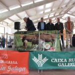 210426 Poxa Pedrafita do Cebreiro