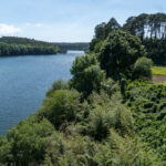 22042026 Obradoiro de Emprego