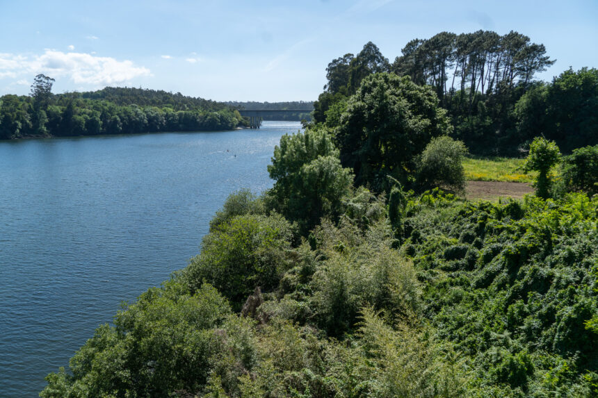 22042026 Obradoiro de Emprego