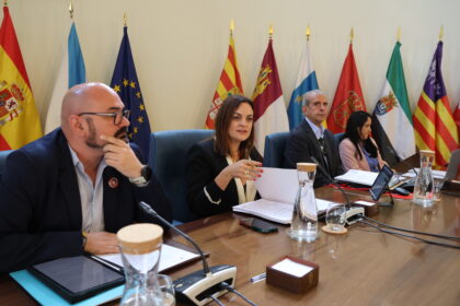 280426 Pleno ordinario da Deputacion