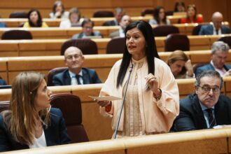 29 04 26 Senado Interpelacion Nida Arevalo Ana Redondo