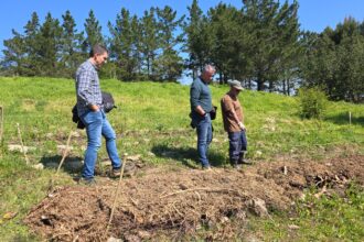 Adquisicion arbores bosque comestible Marzo 2026