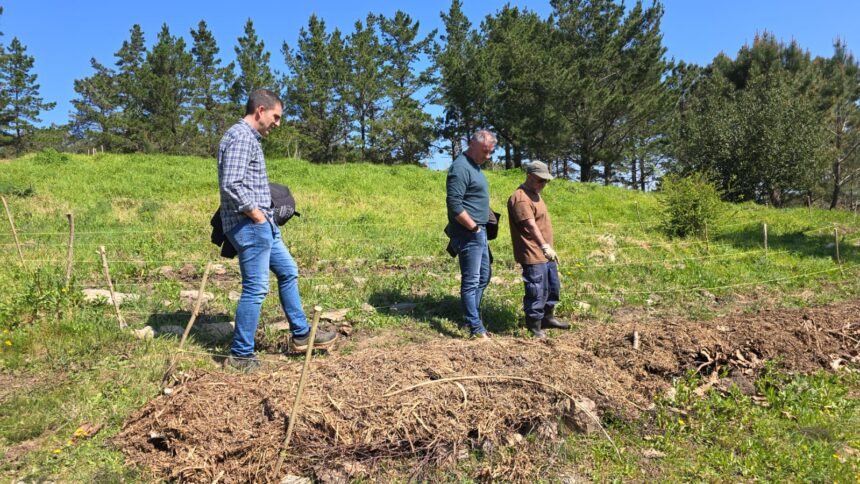 Adquisicion arbores bosque comestible Marzo 2026