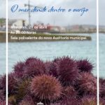 Cartel da proxeccioin do documental sobre o ourizo 2026