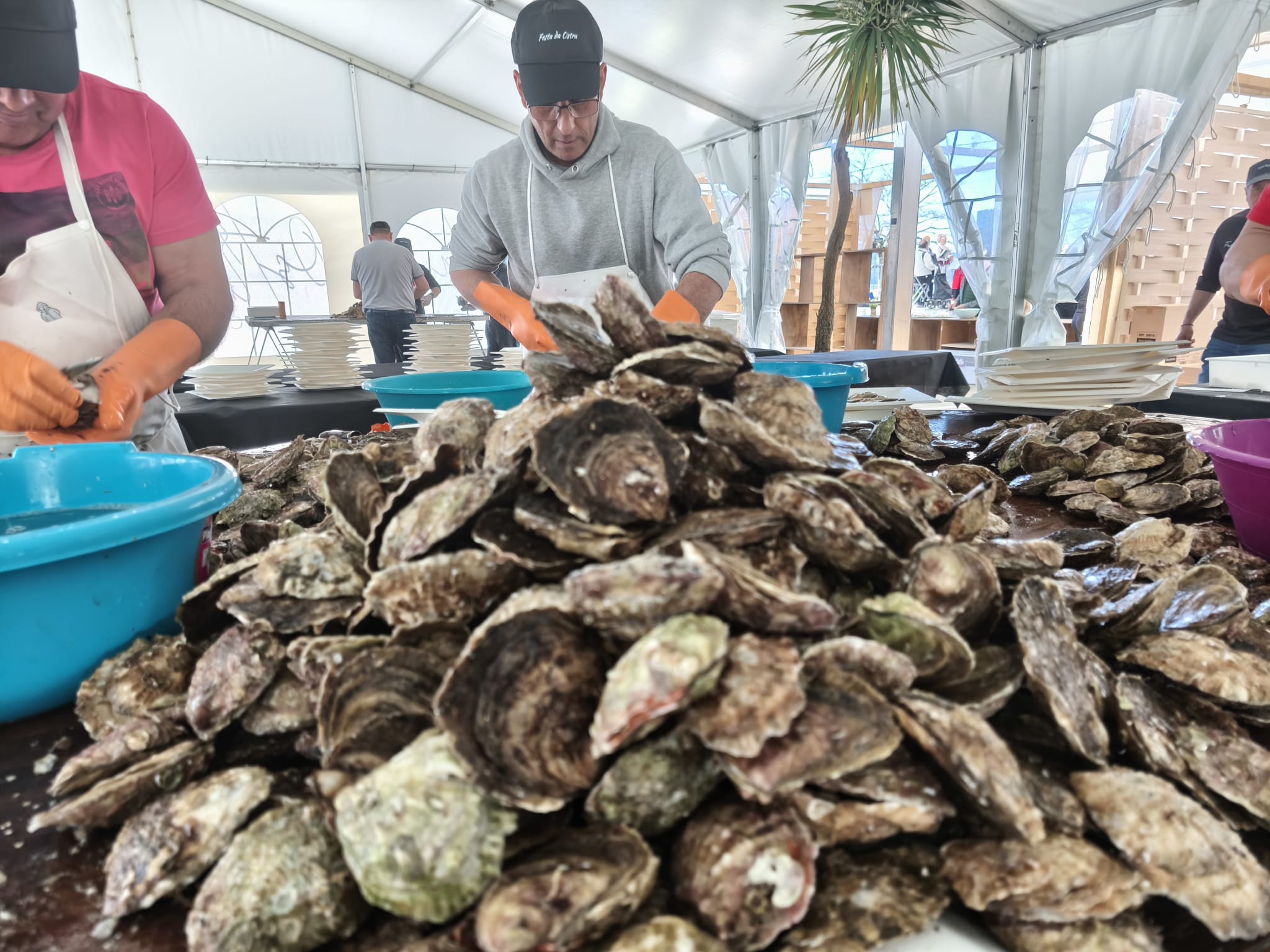 Festa da ostra 05