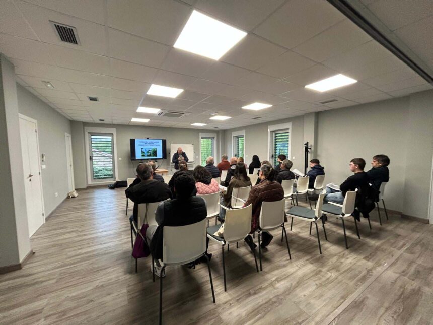 FitosanitariosFradesMesia