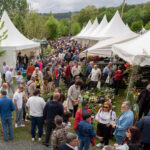 IMAXE ARQUIVO 2 CESAR GALDO