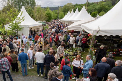 IMAXE ARQUIVO 2 CESAR GALDO