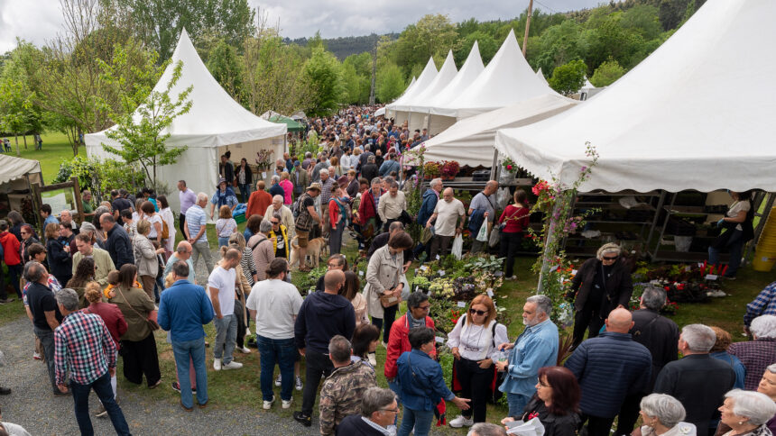 IMAXE ARQUIVO 2 CESAR GALDO