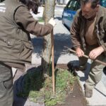 Obradoiro de Emprego 2024