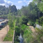 PASARELA 8f5715e e789 4ec9 a985 052825fba345