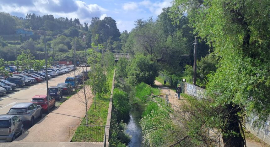 PASARELA 8f5715e e789 4ec9 a985 052825fba345