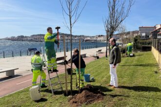Plantacion arbores Marzo 2026
