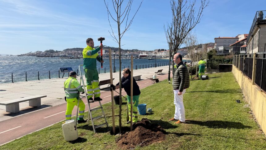 Plantacion arbores Marzo 2026