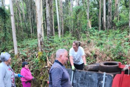 Recollida pneumaticos do monte