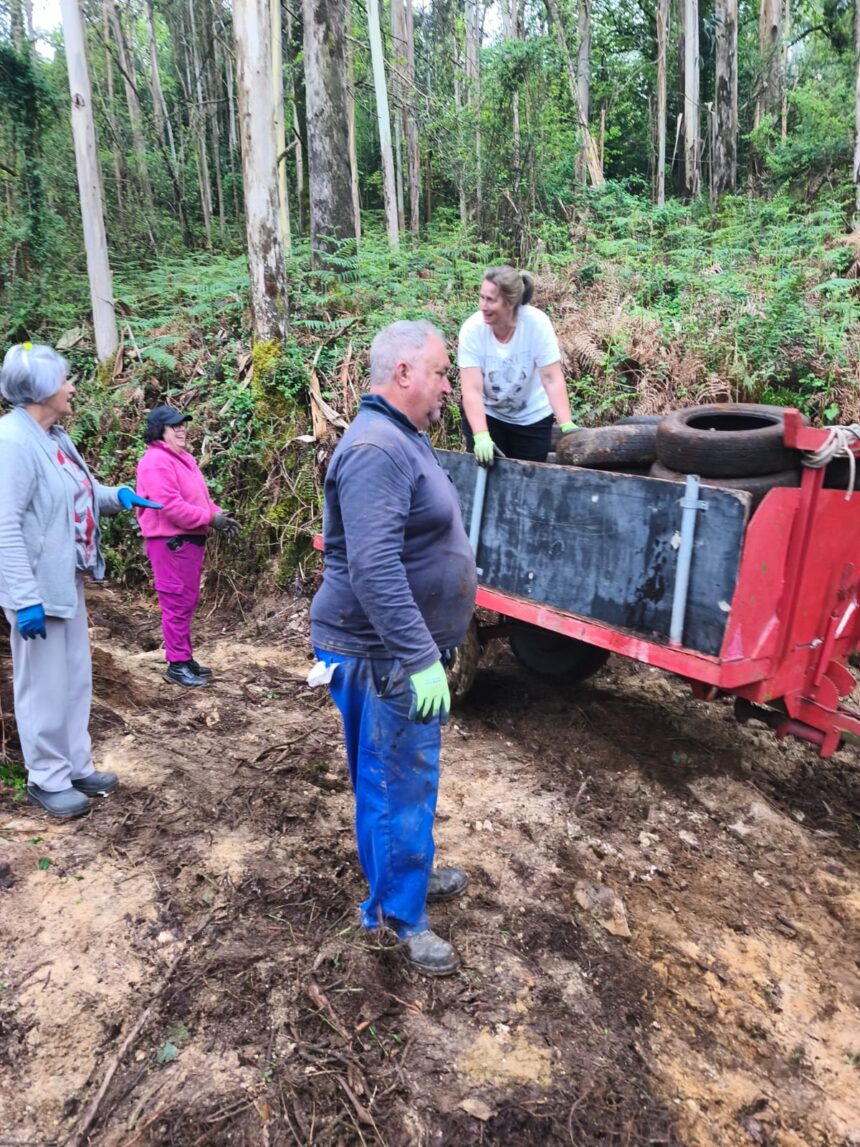 Recollida pneumaticos do monte