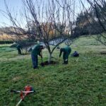 Sarandos obradoiro emprego 2025