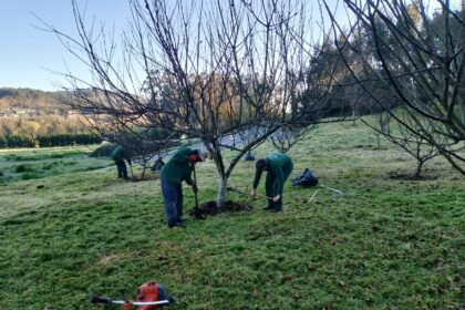 Sarandos obradoiro emprego 2025
