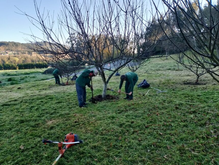Sarandos obradoiro emprego 2025