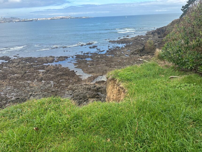 WhatsApp Image 2026 03 29 at 15 11 48 2