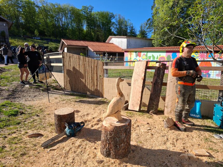 WhatsApp Image 2026 04 14 at 12 19 49 2