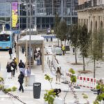 Apg 20260415 OBRAS PLANTACION ARBORES MANUEL CASAS TC 004