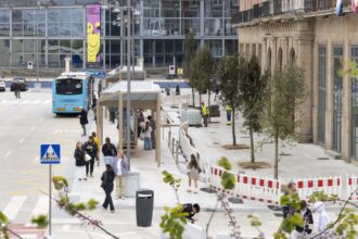 Apg 20260415 OBRAS PLANTACION ARBORES MANUEL CASAS TC 004