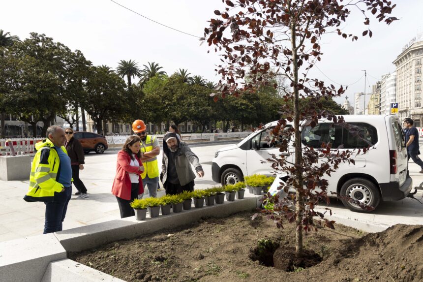 Apg 20260423 ALCALDESA OBRAS CANTONS PLANTACION ARBORES 001 1