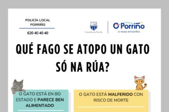 Campana concienciacion felina