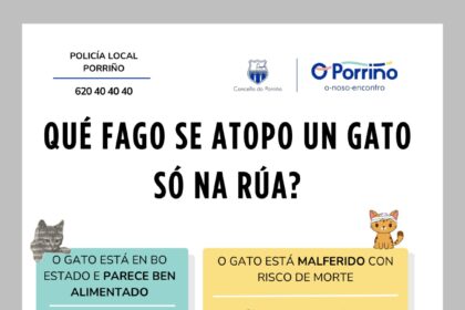 Campana concienciacion felina