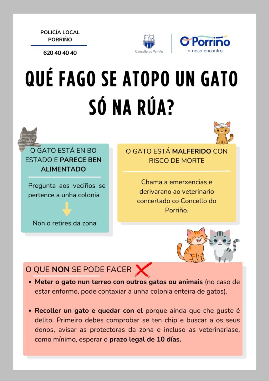 Campana concienciacion felina