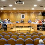 Pleno concello premios palacios