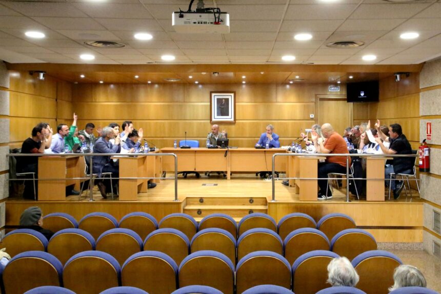 Pleno concello premios palacios