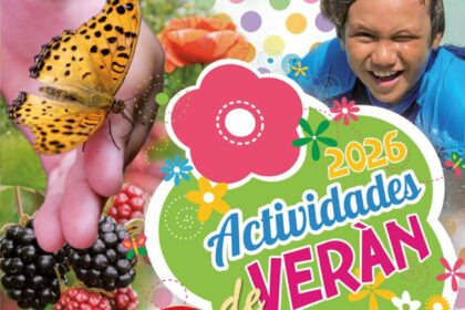 ACTIVIDADES 26 WEB imagenes 0