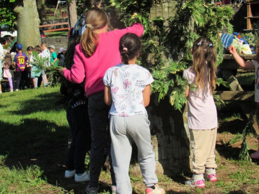 FESTA MAIOS 1