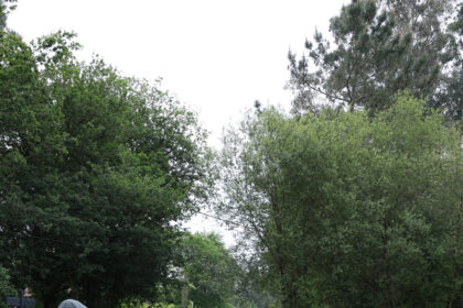FOTO DEPUTADA BNG VISITA PLANTA RESIDUOS CACHEIRAS