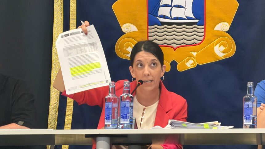 Pleno ordinario maio 2026 2