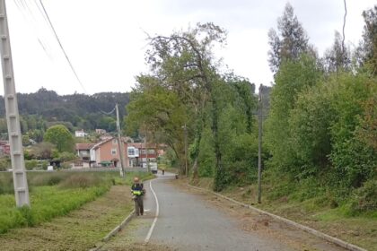 Rozas Fene 3