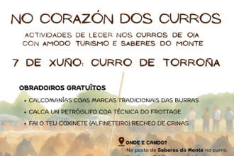 AMODO CURRO TORRONA
