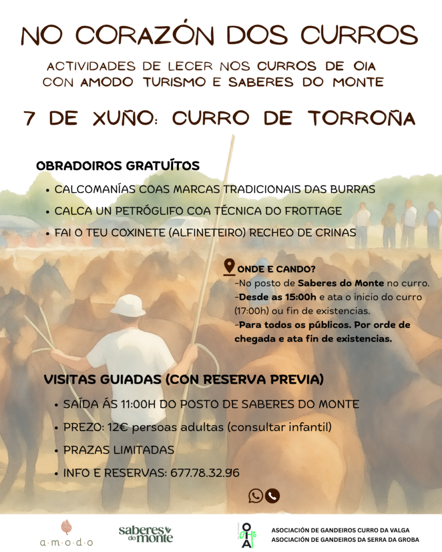 AMODO CURRO TORRONA