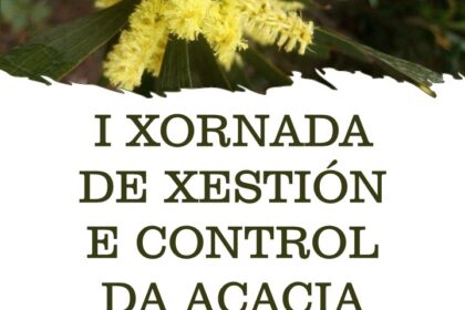 Cartaz I XXC
