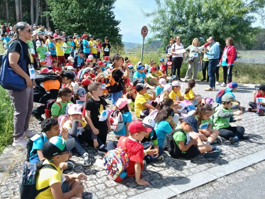 Grupo escolares