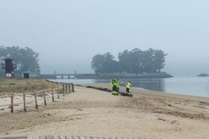 Limpeza praia Cesantes