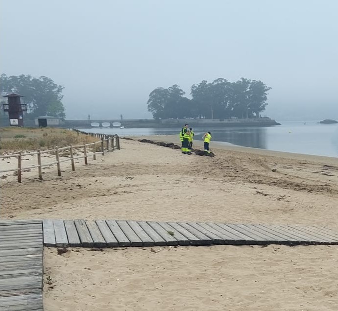 Limpeza praia Cesantes