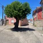 NdP O Rosal destina case 455 000 euros a recuperar e mellorar a contorna do San Gregorio